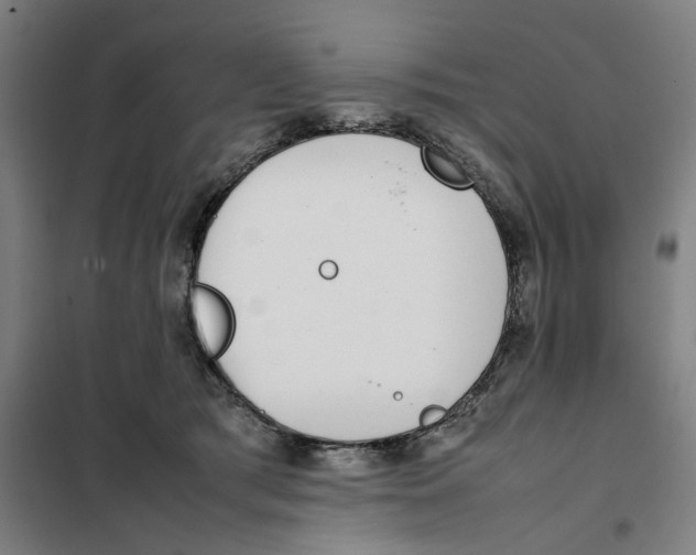 X0000101220417200807251116