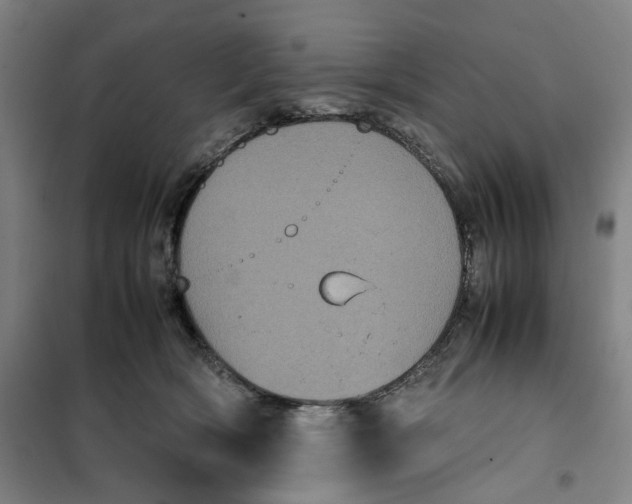 X0000101220418200807251116