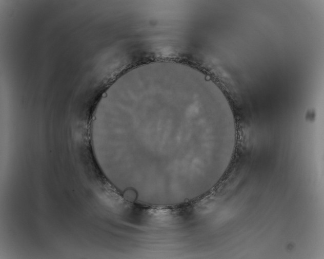 X0000101220419200807251116