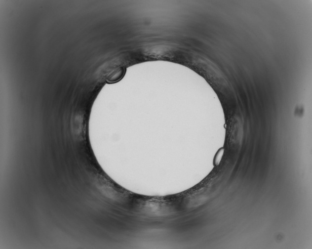 X0000101220420200807251116