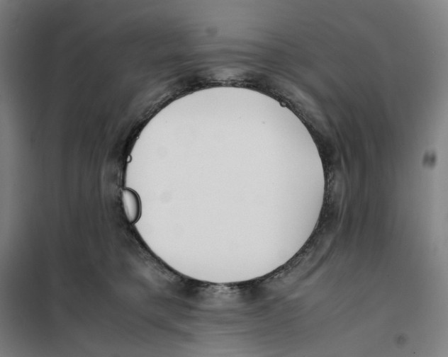 X0000101220421200807251116