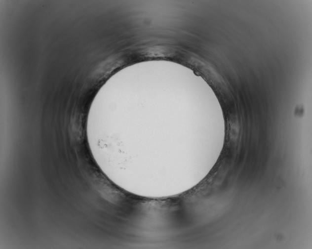 X0000101220422200807251116