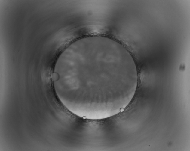 X0000101220423200807251116