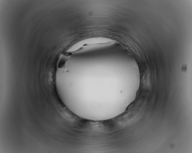 X0000101220424200807251116