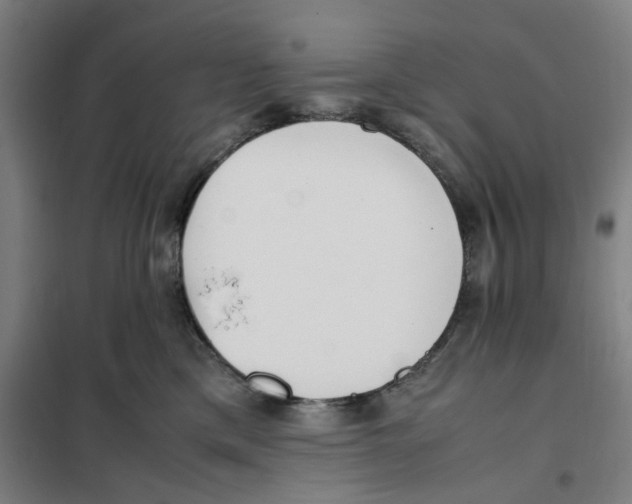 X0000101220425200807251116