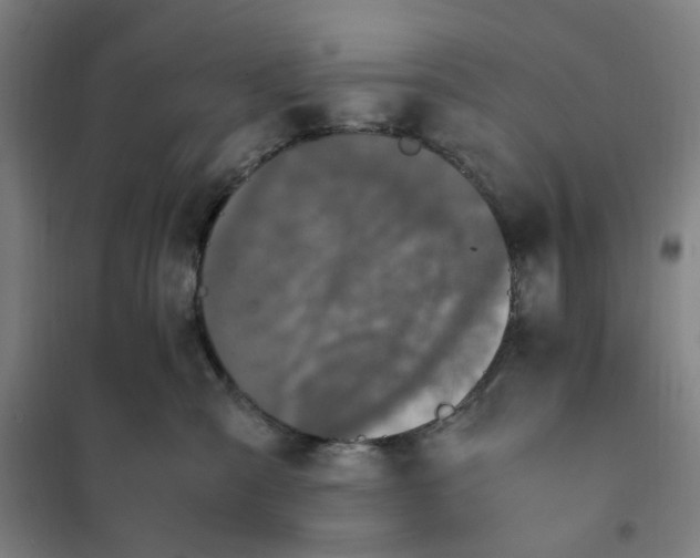 X0000101220427200807251116