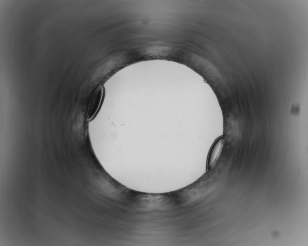 X0000101220428200807251116