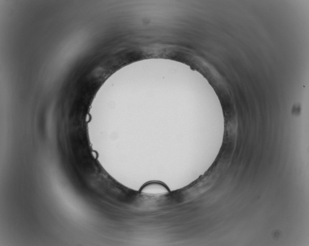 X0000101220429200807251116