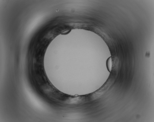 X0000101220430200807251116