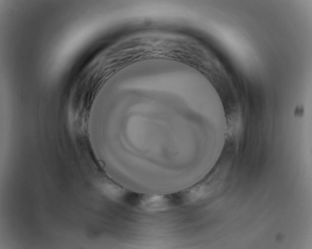 X0000101220431200807251116