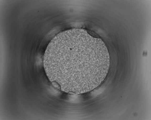 X0000101220432200807251116