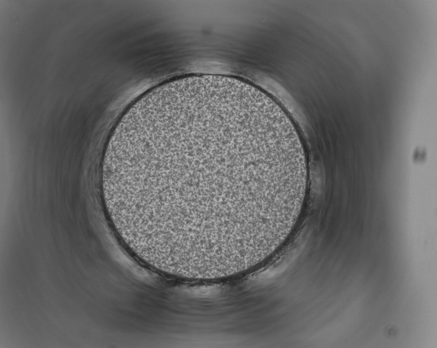 X0000101220433200807251115