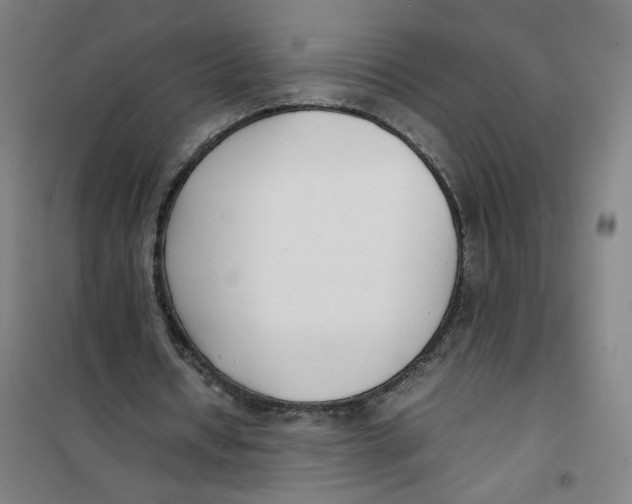 X0000101220434200807251115