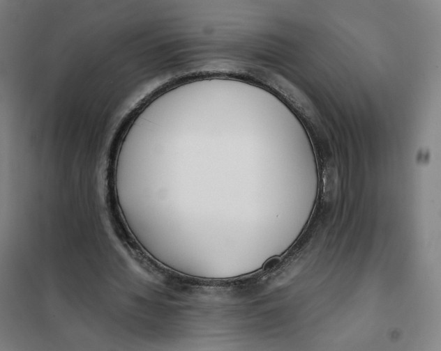 X0000101220436200807251115
