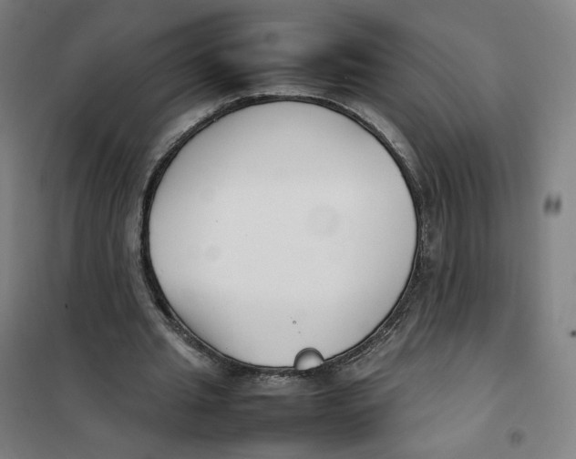 X0000101220437200807251115
