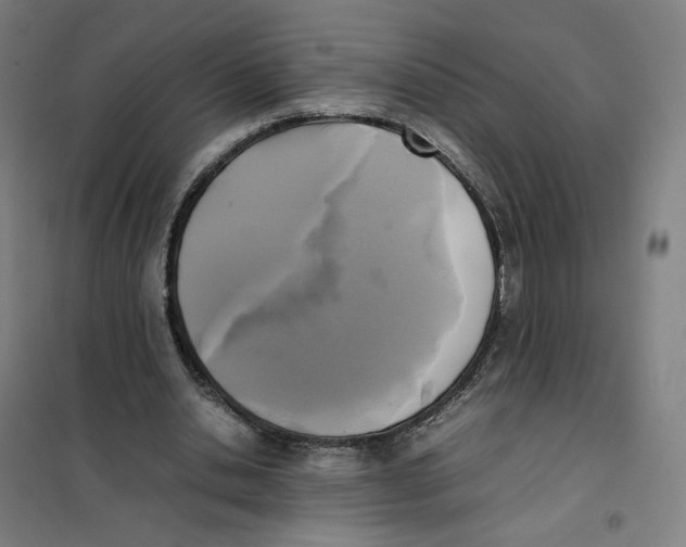 X0000101220438200807251115