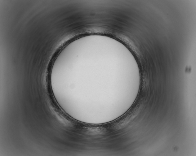 X0000101220439200807251115