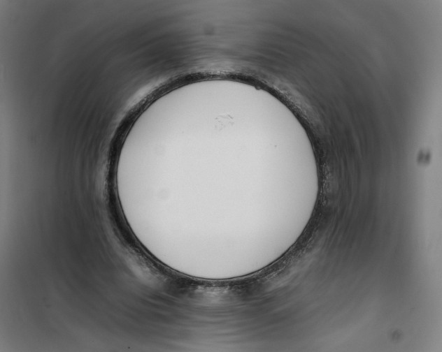 X0000101220440200807251115
