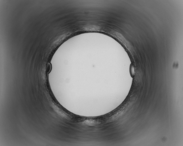 X0000101220441200807251115