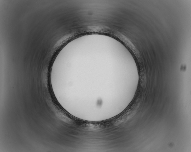 X0000101220442200807251115