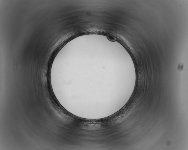 X0000101220443200807251115