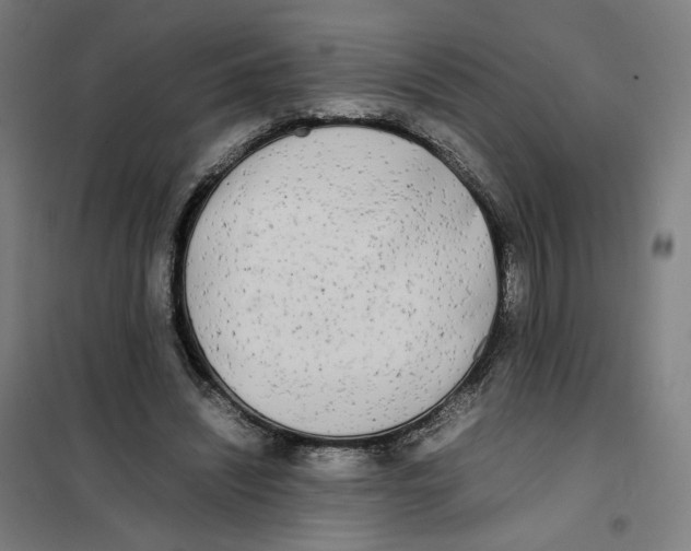 X0000101220444200807251115