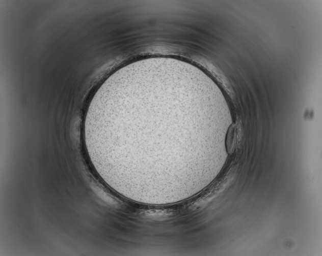 X0000101220445200807251115