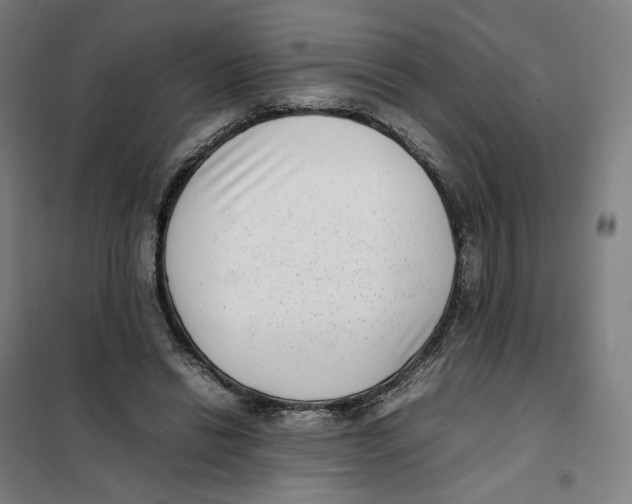 X0000101220446200807251115