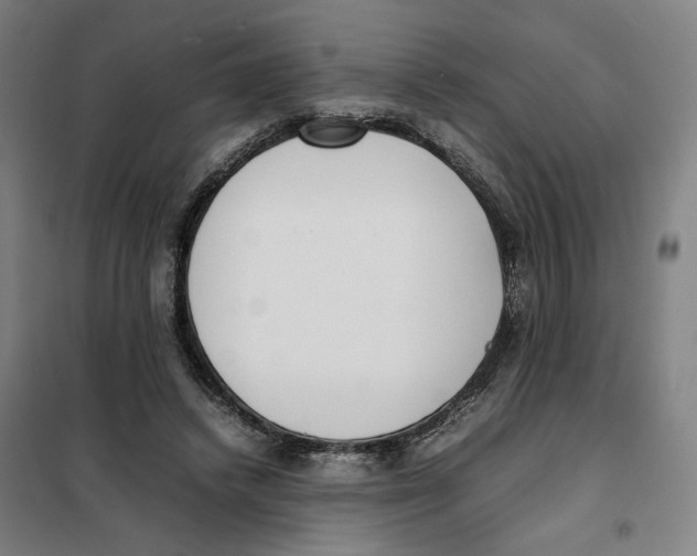 X0000101220448200807251115