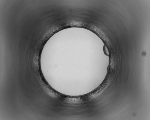X0000101220449200807251115