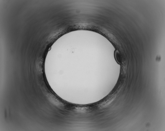 X0000101220450200807251115