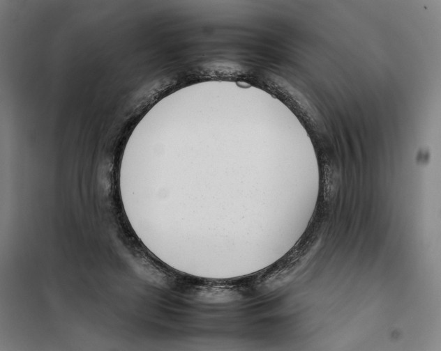 X0000101220451200807251115
