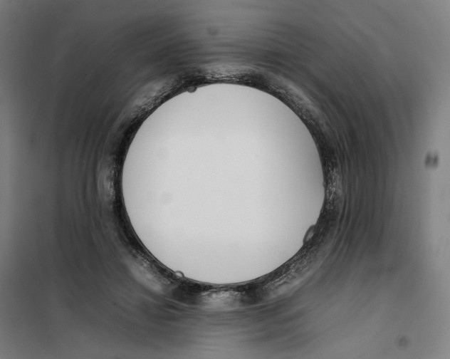 X0000101220452200807251115