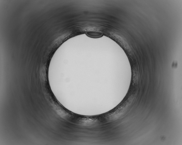 X0000101220453200807251115
