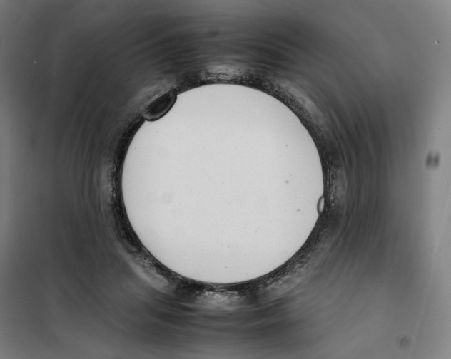 X0000101220455200807251115