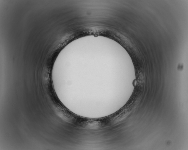 X0000101220456200807251115