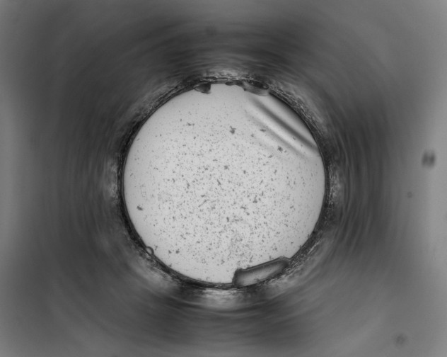 X0000101220457200807251115