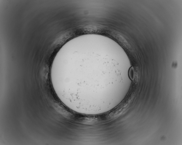 X0000101220458200807251115