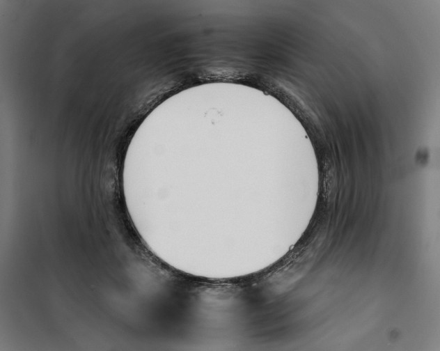 X0000101220459200807251115