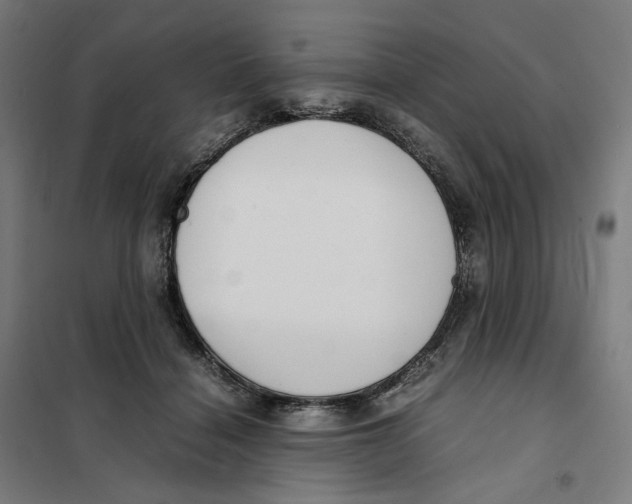 X0000101220460200807251115
