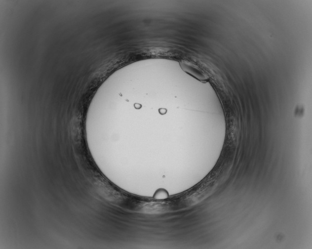 X0000101220461200807251115