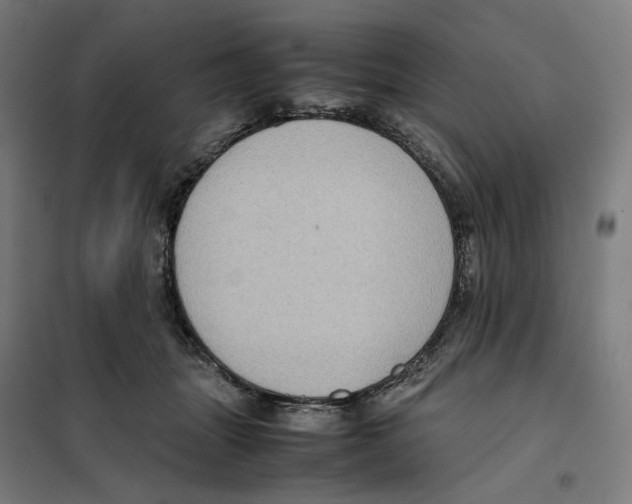 X0000101220463200807251115