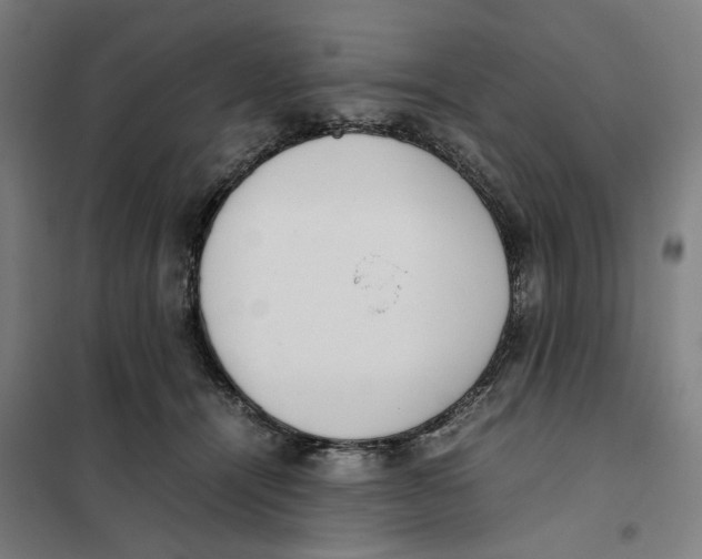 X0000101220464200807251115