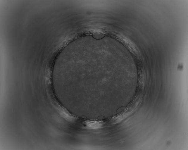 X0000101220465200807251115