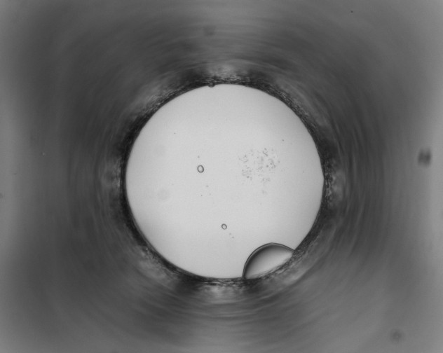 X0000101220466200807251115
