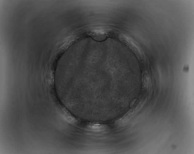 X0000101220467200807251115