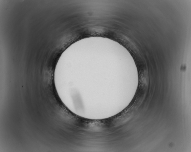 X0000101220468200807251115