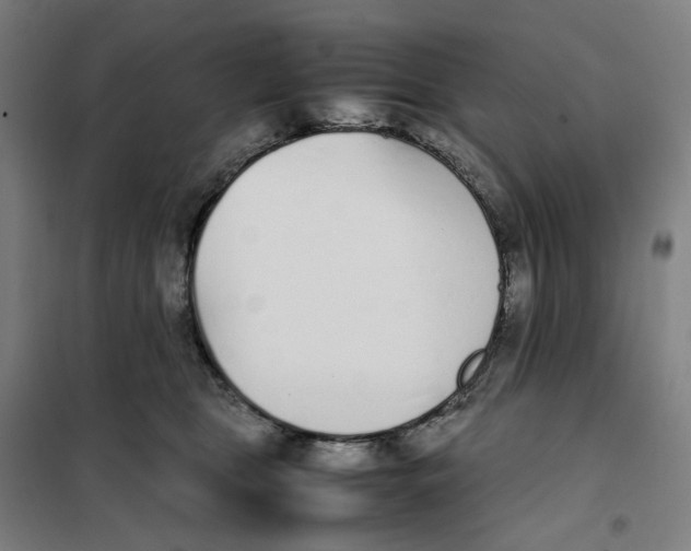 X0000101220469200807251115