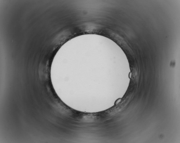 X0000101220470200807251115