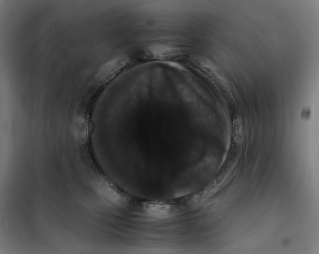 X0000101220471200807251115